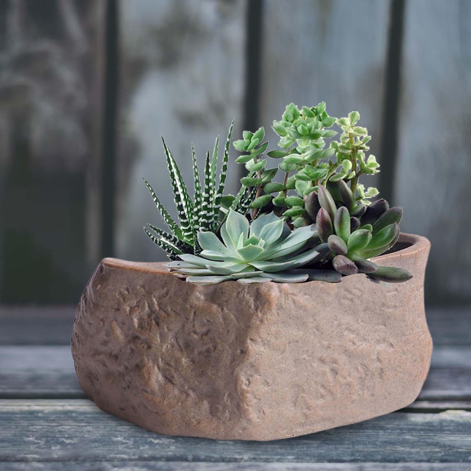 Training Pot Ceramic - セラミック多肉植物ポット軽量盆栽トレーニングポットサボテンプランターポットコンテナフェスティバルウェディングパーティーガーデンデスクトップ用