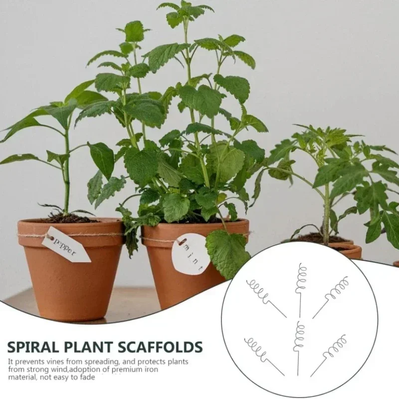 つる性植物サポートステークスタンド、つる性植物ラック、トマト - Bonsai Gardening のレビューと価格