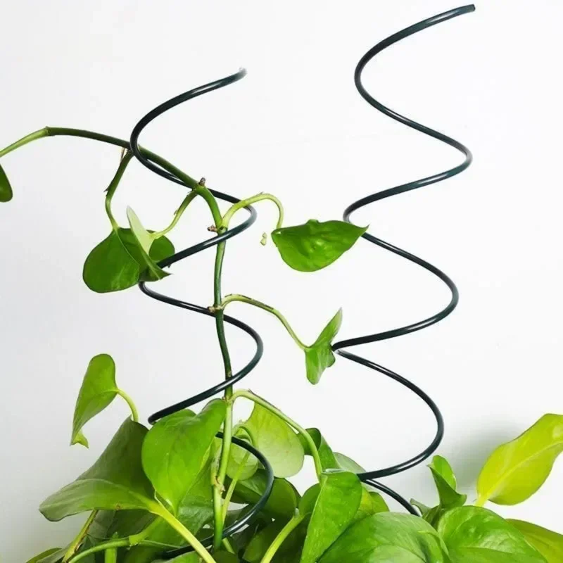 つる性植物サポートステークスタンド、つる性植物ラック、トマト - Bonsai Gardening のレビューと価格