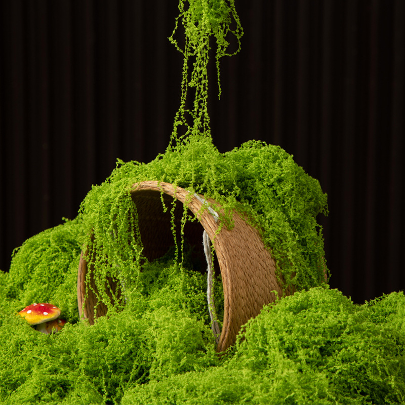 200 グラム永遠の命苔 DIY 工芸品草人工緑植物ホームル - Bonsai Garden Ideas のレビューと価格