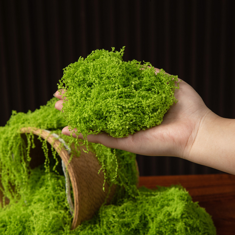 200 グラム永遠の命苔 DIY 工芸品草人工緑植物ホームル - Bonsai Garden Ideas のレビューと価格