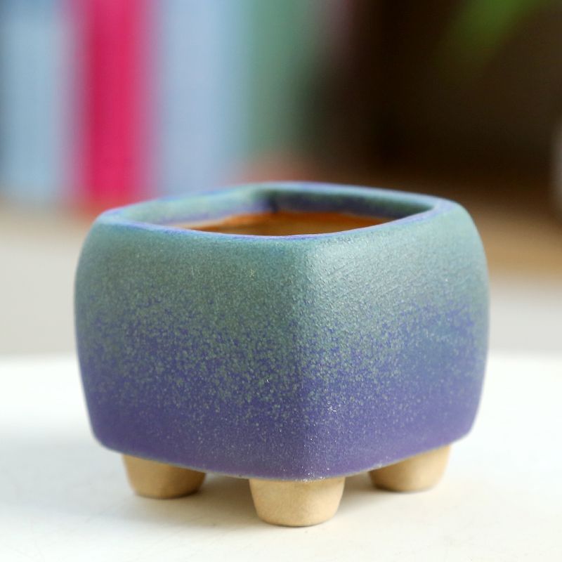 ミニ多肉植物植木鉢,セラミック工芸品,通気性のある親指,手作 - Training Pot Ceramic のレビューと価格