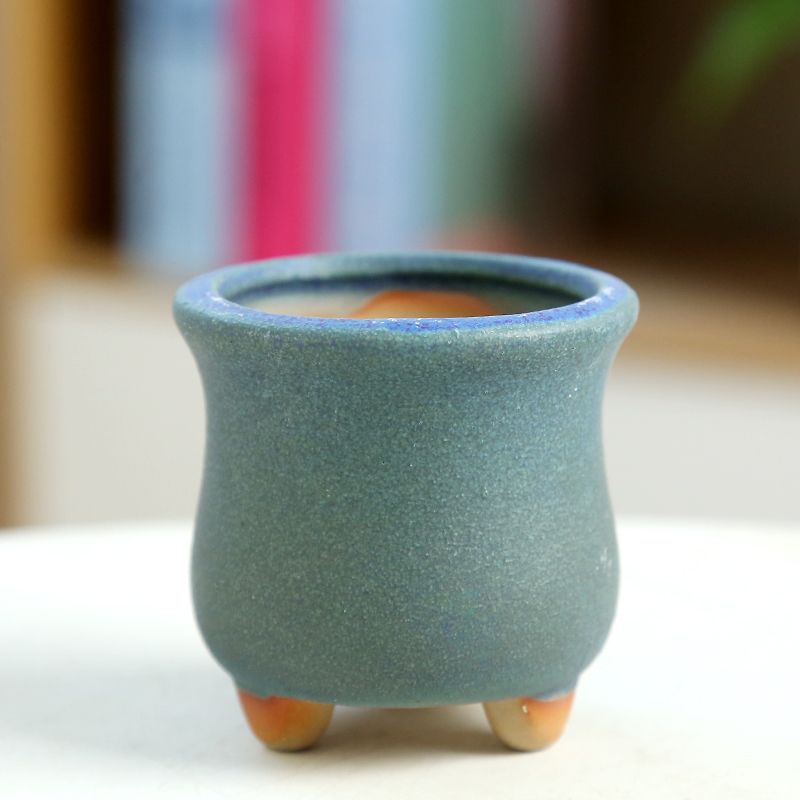 ミニ多肉植物植木鉢,セラミック工芸品,通気性のある親指,手作 - Training Pot Ceramic のレビューと価格