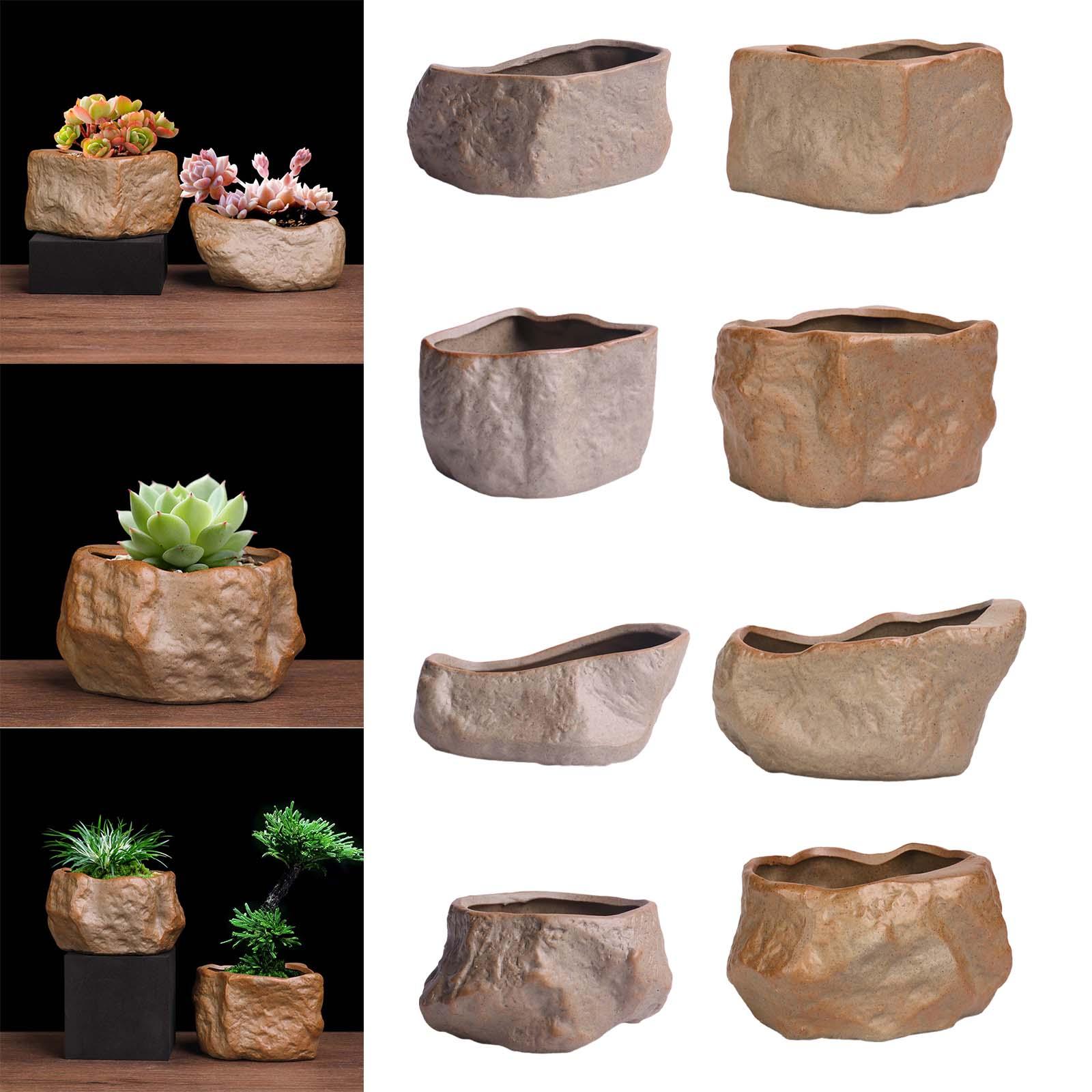 セラミック多肉植物ポット軽量盆栽トレーニングポットサボテンプ - Training Pot Ceramic のレビューと価格