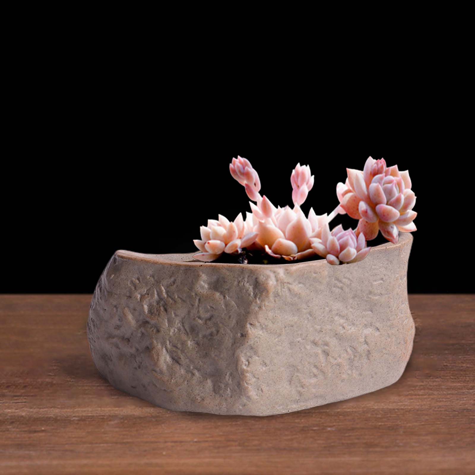 家庭用のセラミック植木鉢,頑丈な植物,栽培用,屋外用 - Training Pot Ceramic のレビューと価格