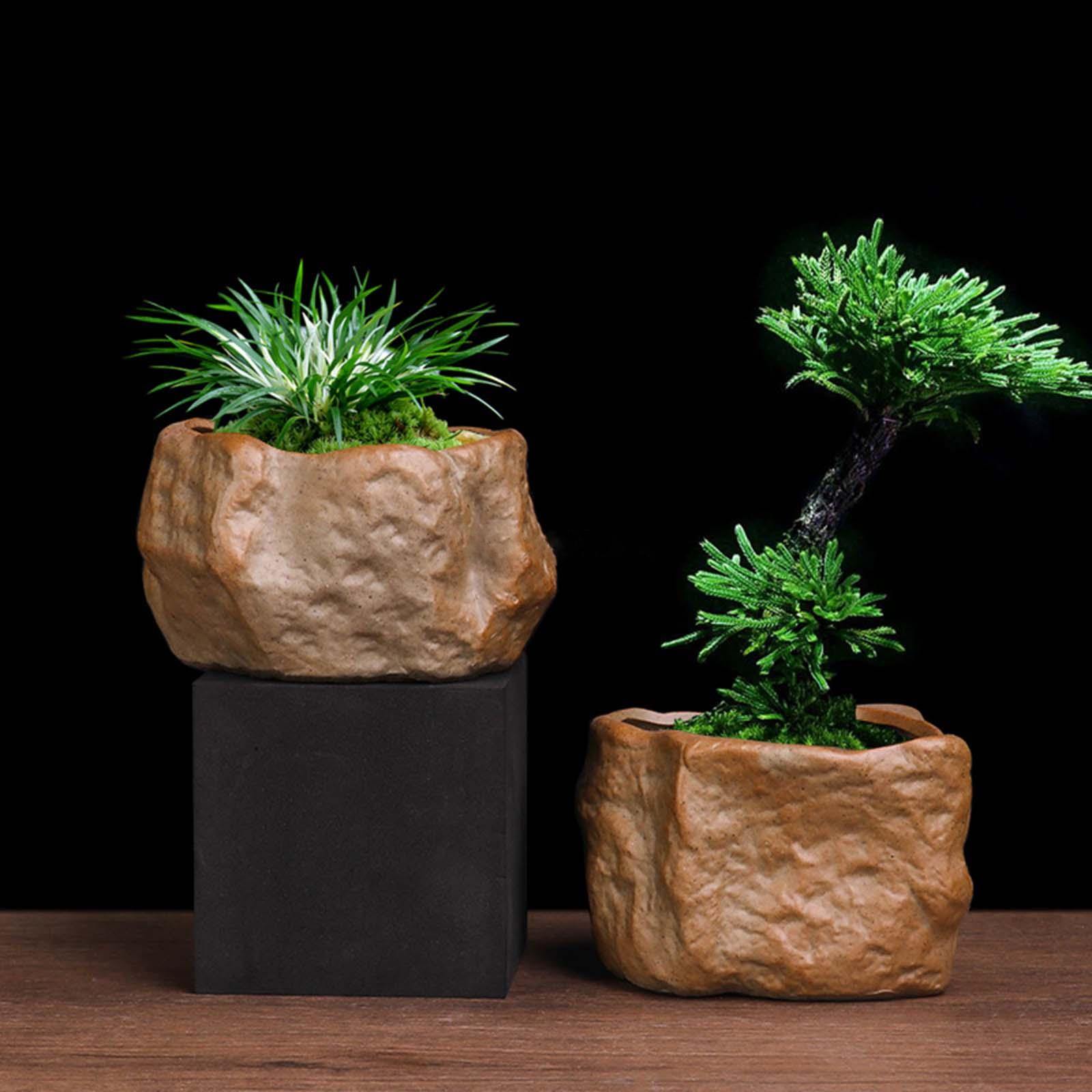 家庭用のセラミック植木鉢,頑丈な植物,栽培用,屋外用 - Training Pot Ceramic のレビューと価格
