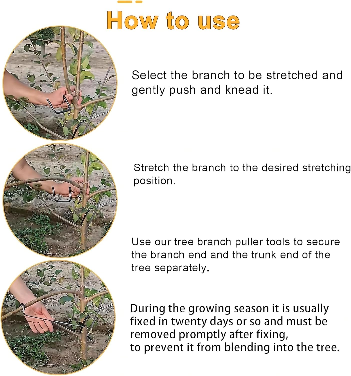 調整可能な果樹の枝整形器、側枝の曲げとトレーニング用、盆栽、 - Bonsai Gardening のレビューと価格