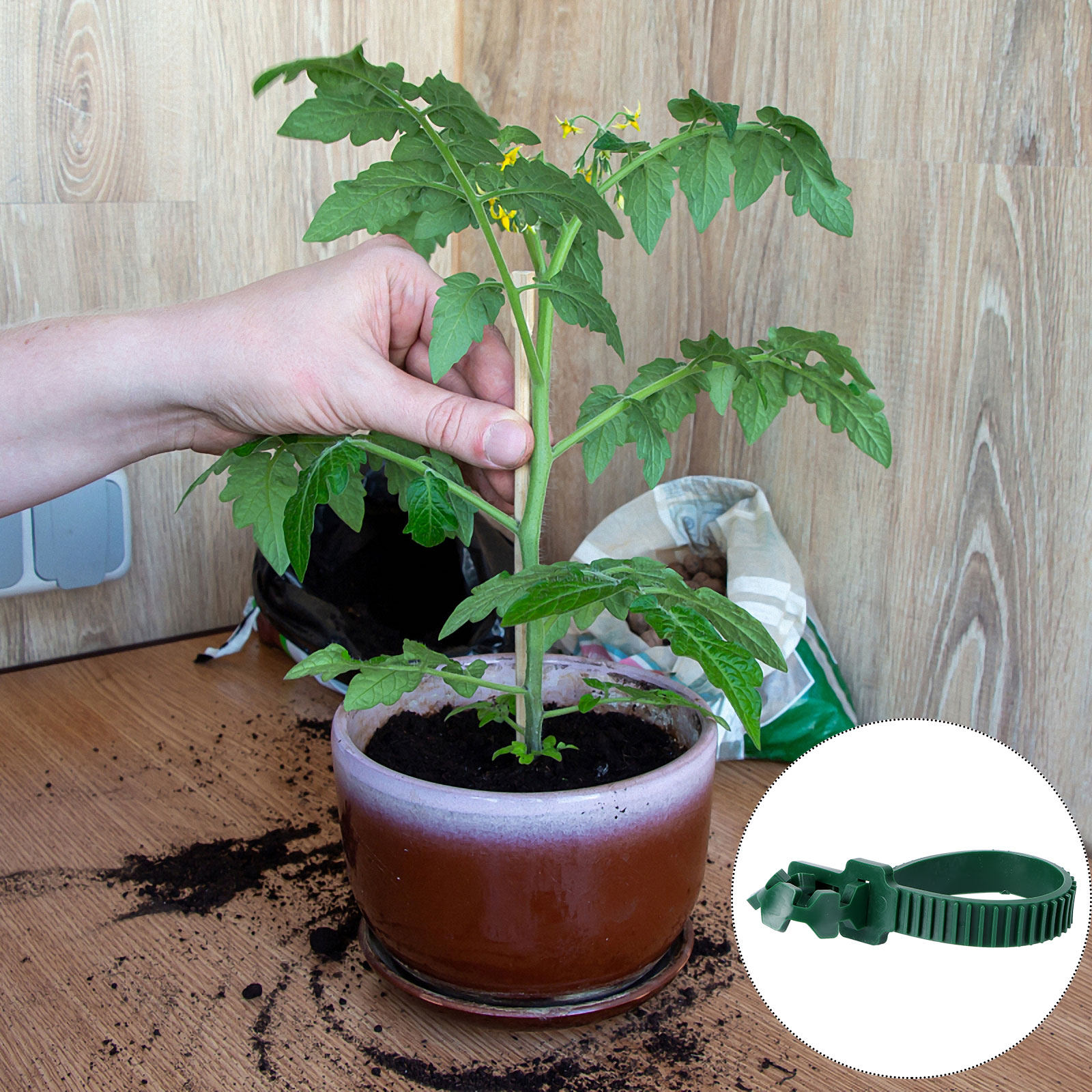 20個入り 蔓固定バックル 植物サポートクリップ 庭園用 盆 - Bonsai Gardening のレビューと価格