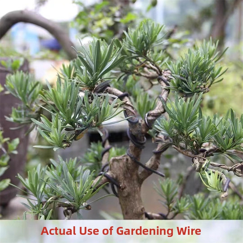 1.5MM盆栽ワイヤー アルミ盆栽トレーニングワイヤー モデ - Bonsai Gardening のレビューと価格