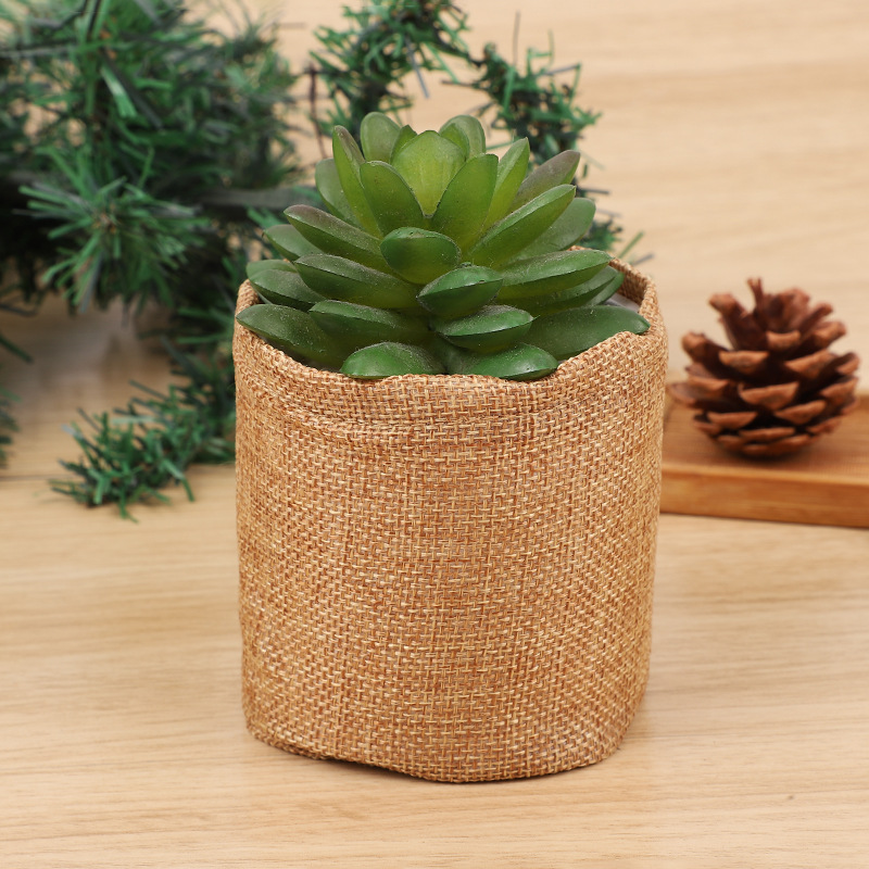 盆栽の木のキット,植物ラベル,ミニ多肉植物,黄麻布のポット, - Bonsai Garden Grow Kit のレビューと価格