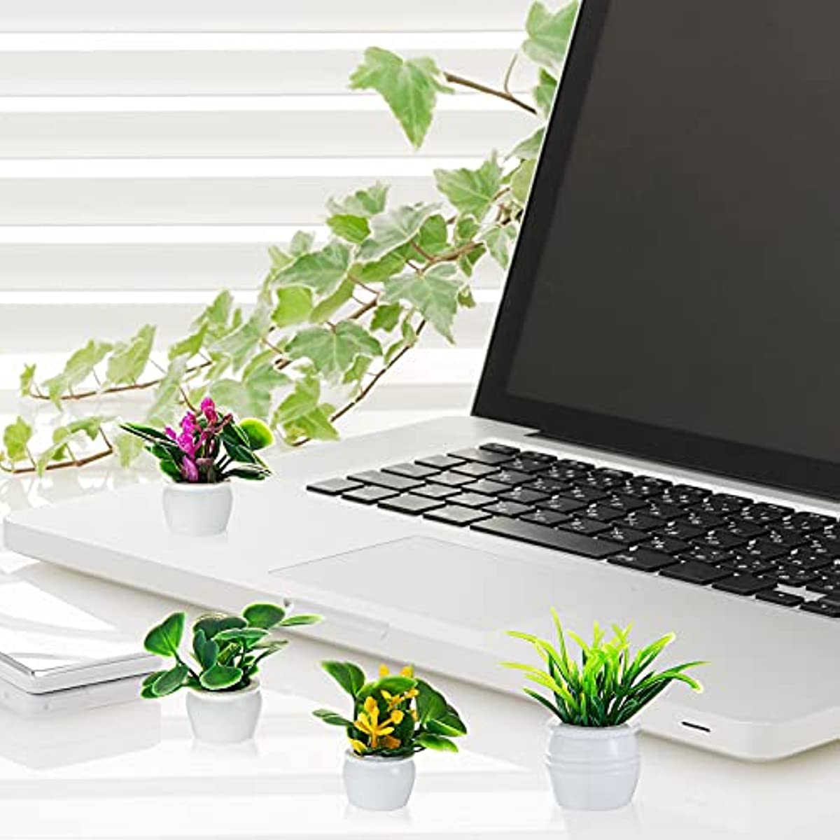 ドールハウス植物、ミニチュア盆栽、ミニ鉢植え、フラワーモデル - Bonsai Garden Ideas のレビューと価格
