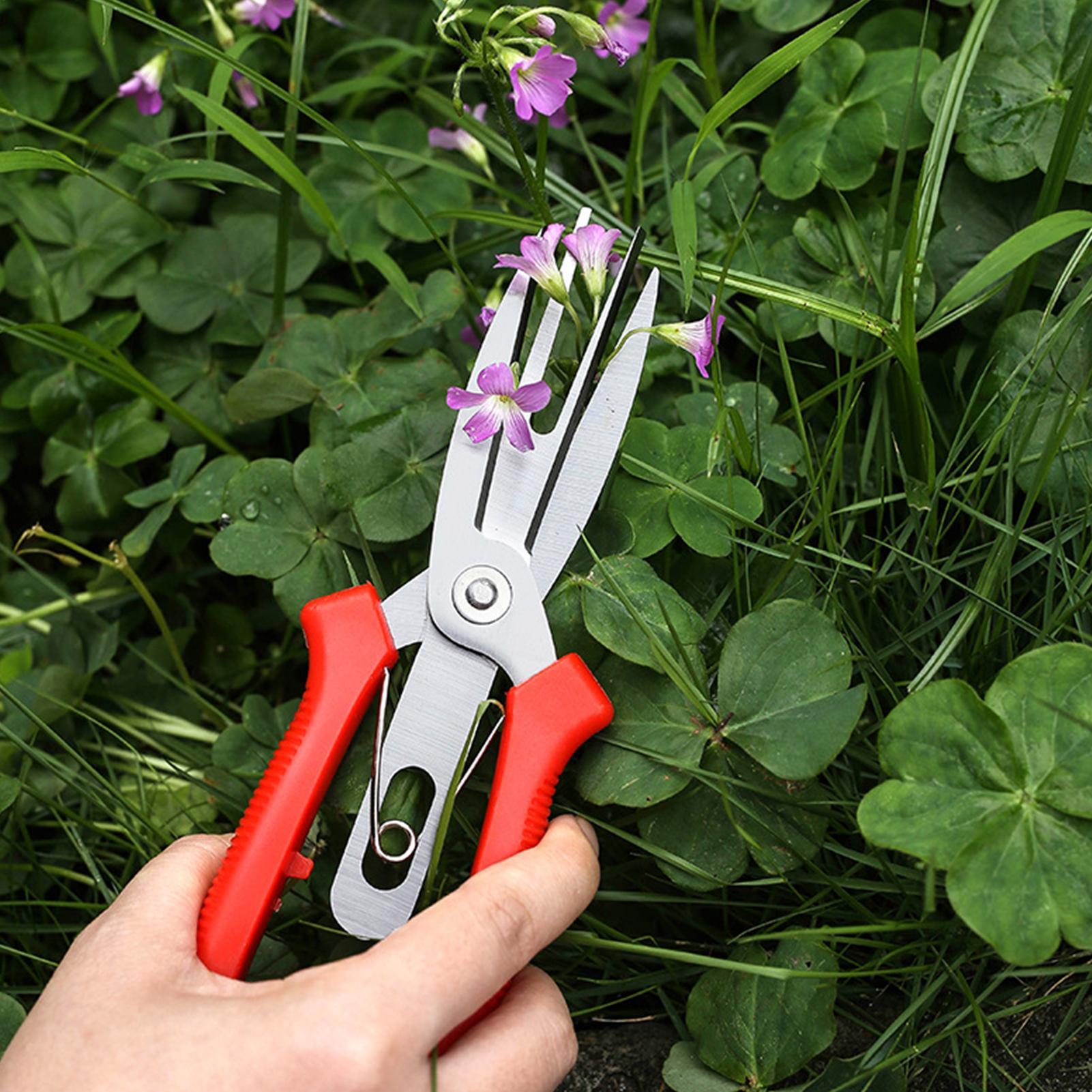 園芸用ハサミ ステンレス鋼製 人間工学に基づいた剪定ばさみ  - Bonsai Gardening のレビューと価格