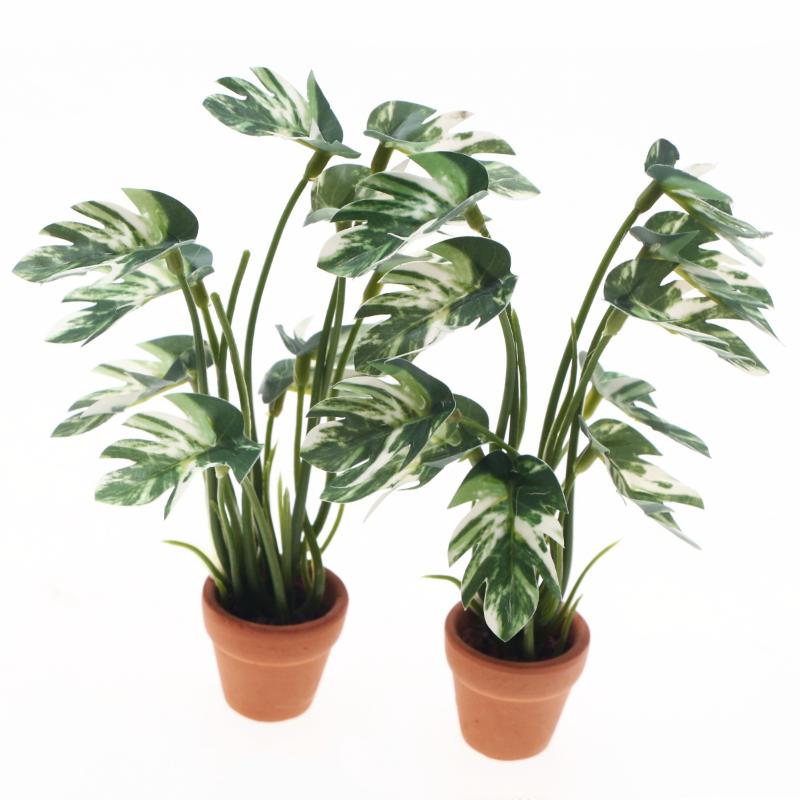 新品。1個入り 1/12 ドールハウス シミュレーション モ - Bonsai Gardening のレビューと価格