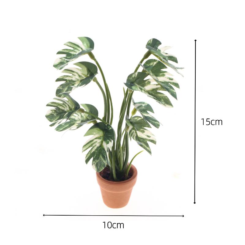 新品。1個入り 1/12 ドールハウス シミュレーション モ - Bonsai Gardening のレビューと価格