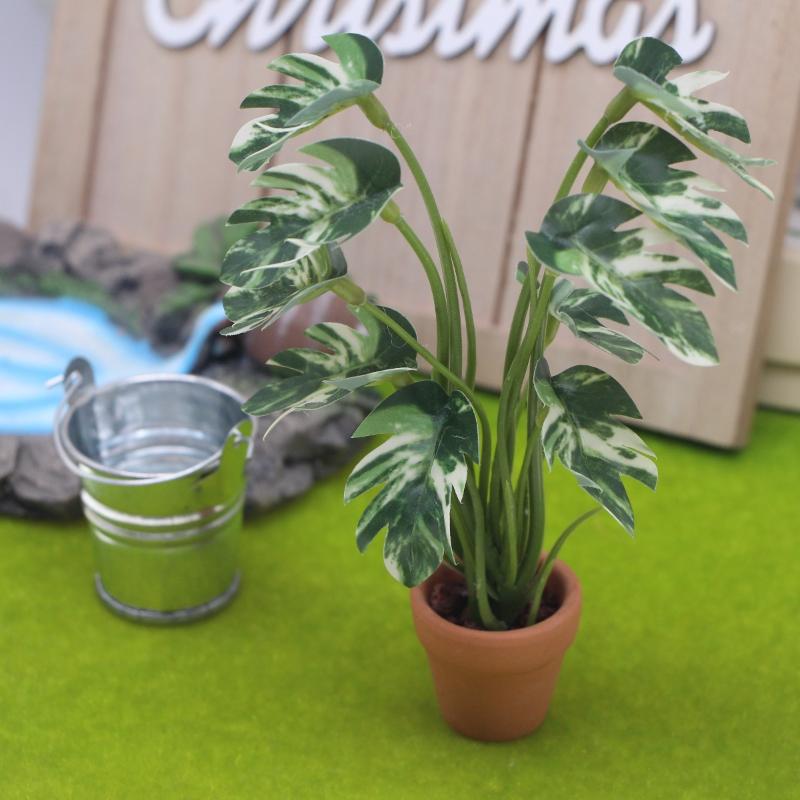 新品。1個入り 1/12 ドールハウス シミュレーション モ - Bonsai Gardening のレビューと価格
