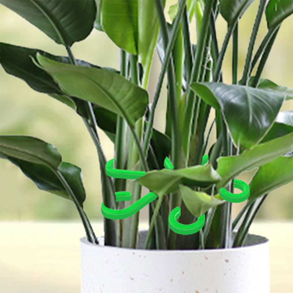 12個入り 植物茎ホルダー プラスチック製サポートクリップ  - Bonsai Gardening のレビューと価格